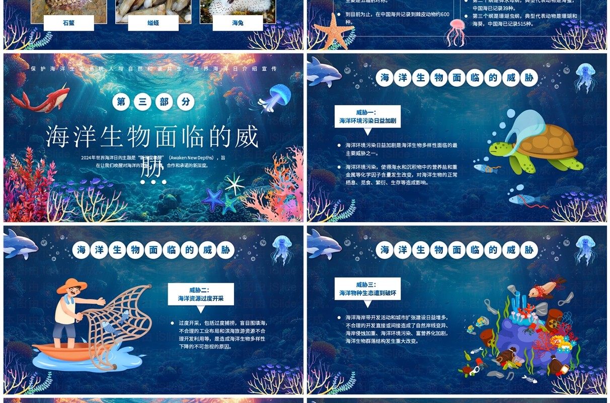 蓝色插画风世界海洋日介绍PPT模板(1)