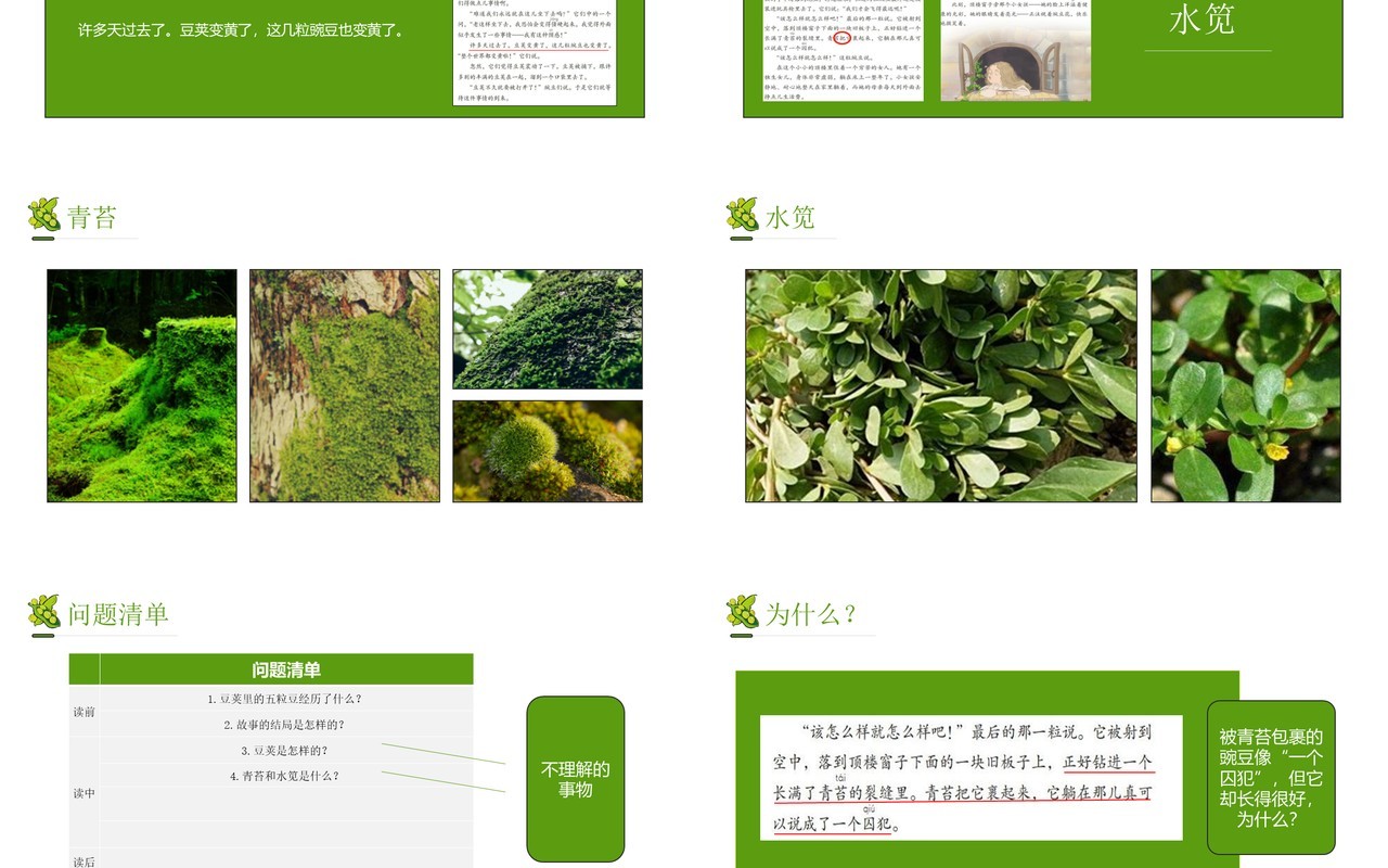 部编版四年级语文上册一个豌豆荚里的五粒豆课件PPT模板