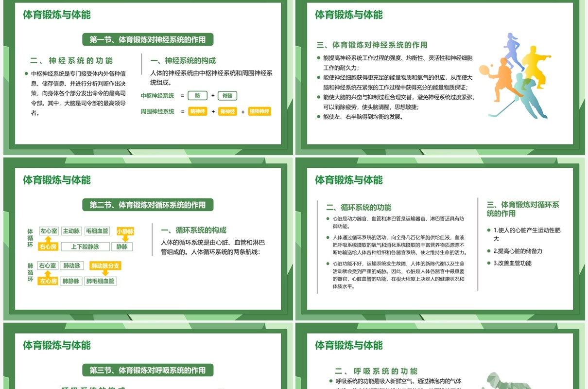绿色简约风体育与健康专题培训PPT模板