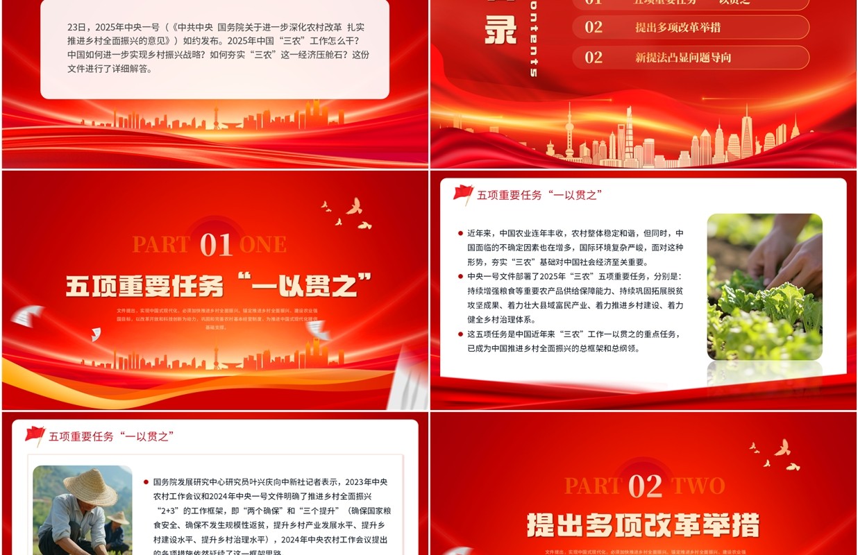 红色简约风2025中央一号文件解读PPT模板