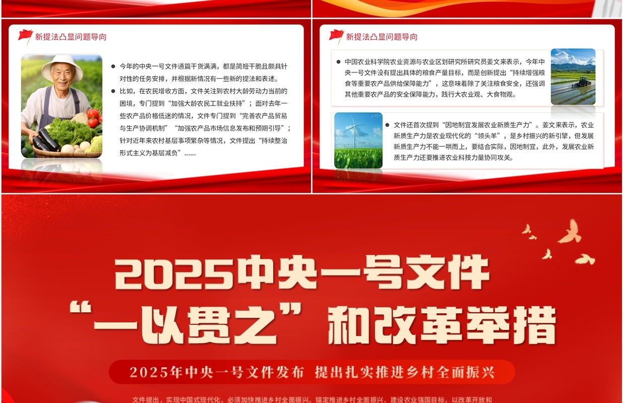红色简约风2025中央一号文件解读PPT模板