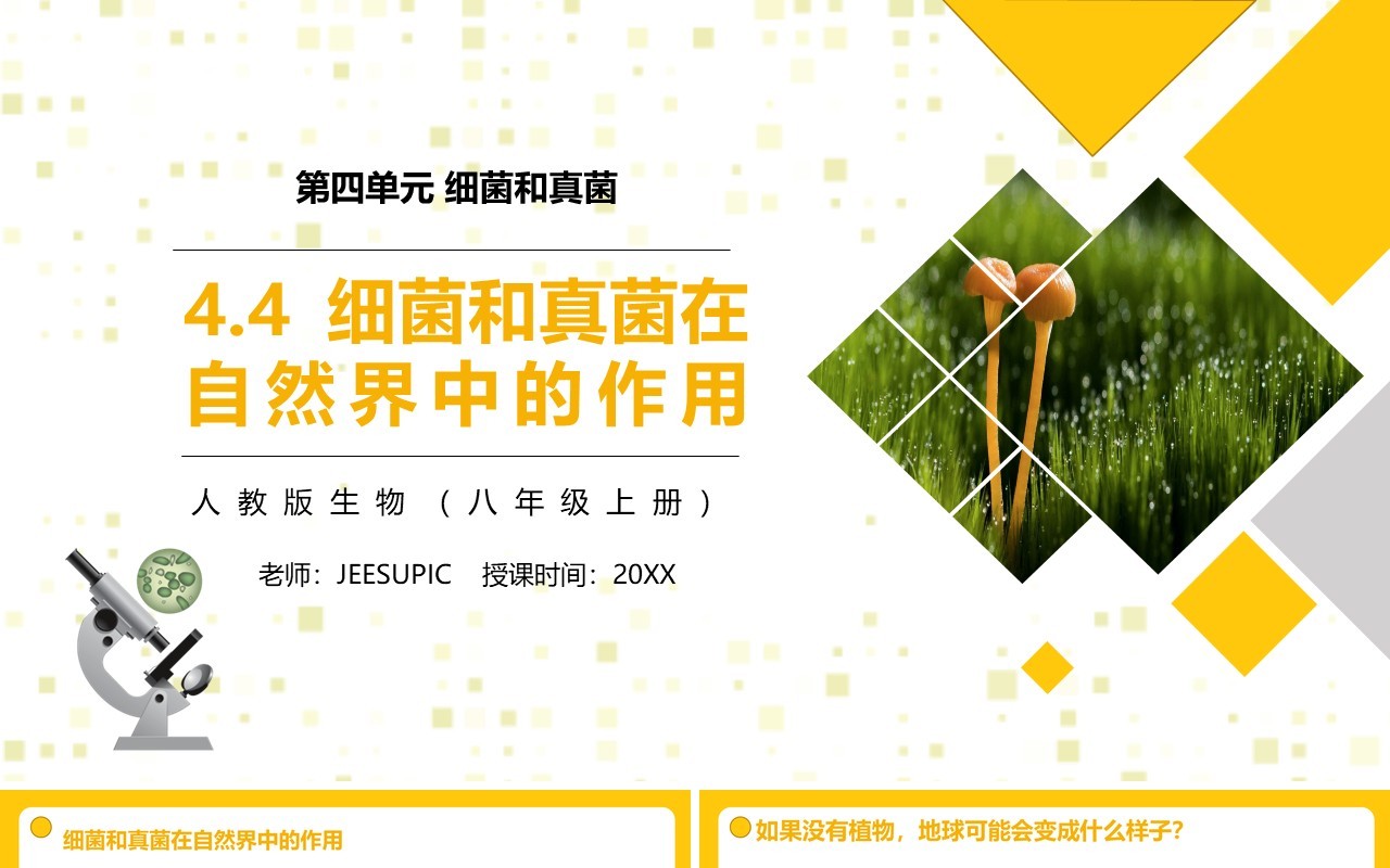 部编版八年级生物上册细菌和真菌在自然界中的作用PPT模板