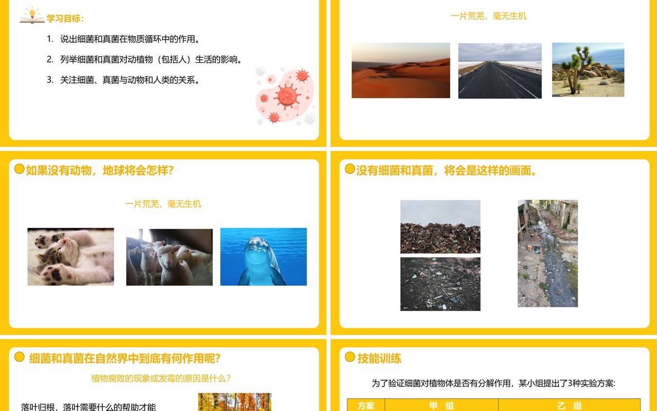 部编版八年级生物上册细菌和真菌在自然界中的作用PPT模板