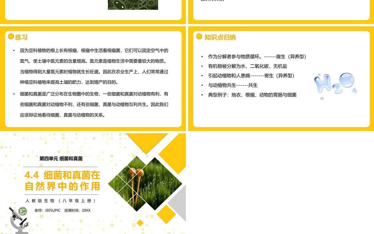 部编版八年级生物上册细菌和真菌在自然界中的作用PPT模板