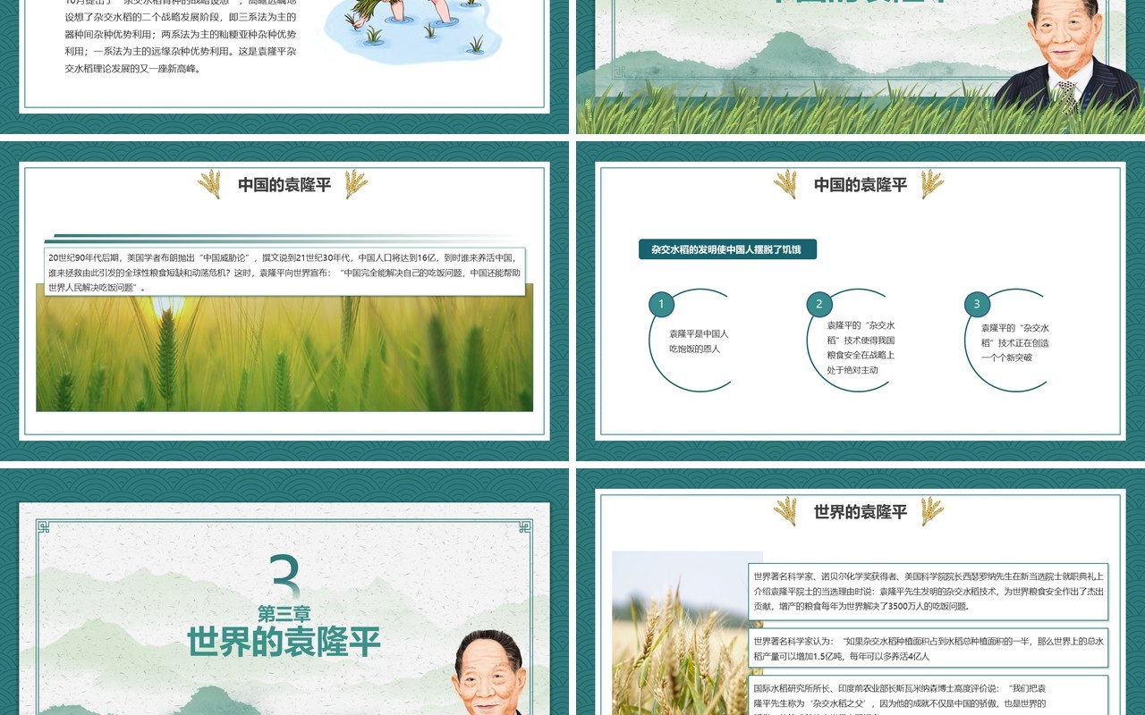 绿色简约风我心中的英雄袁隆平宣传教育PPT模板