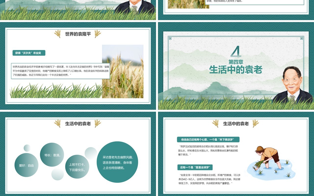 绿色简约风我心中的英雄袁隆平宣传教育PPT模板