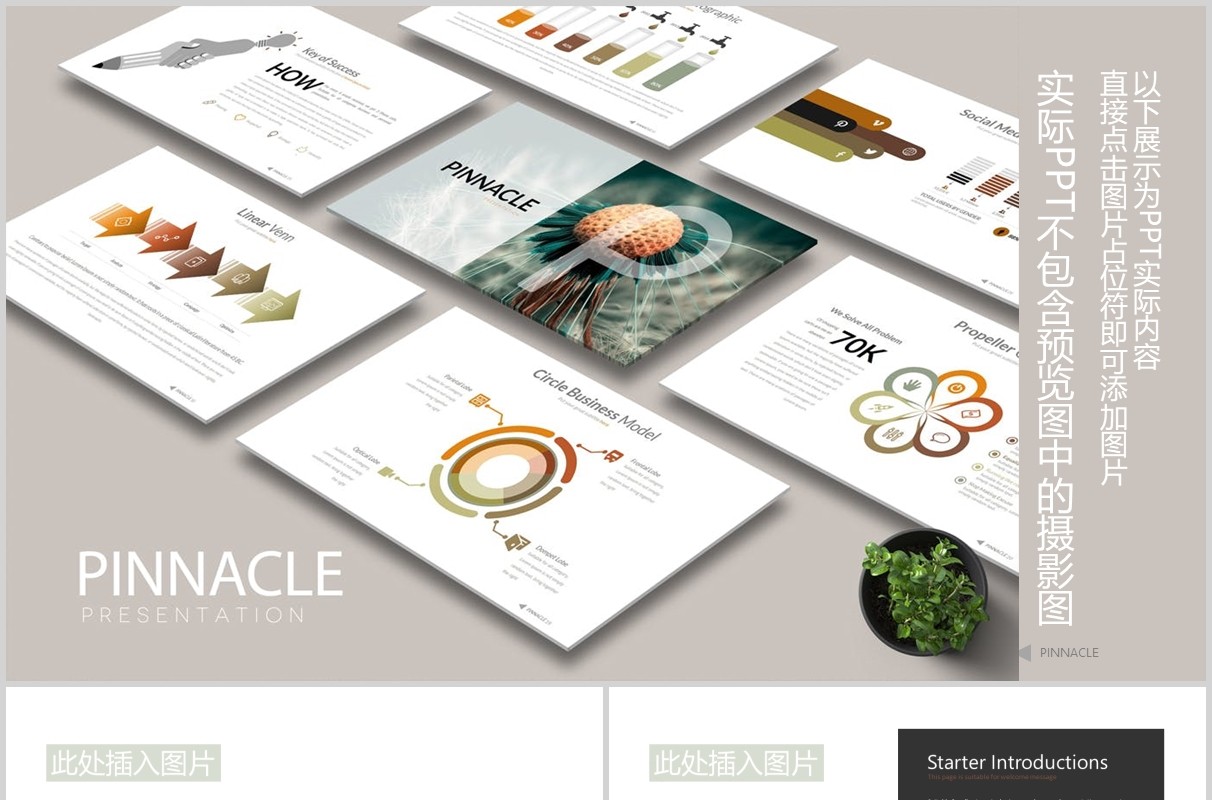 高端公司宣传介绍战略规划可视化时间轴图表PPT可插图排版模板PINNACLE Powerpoint