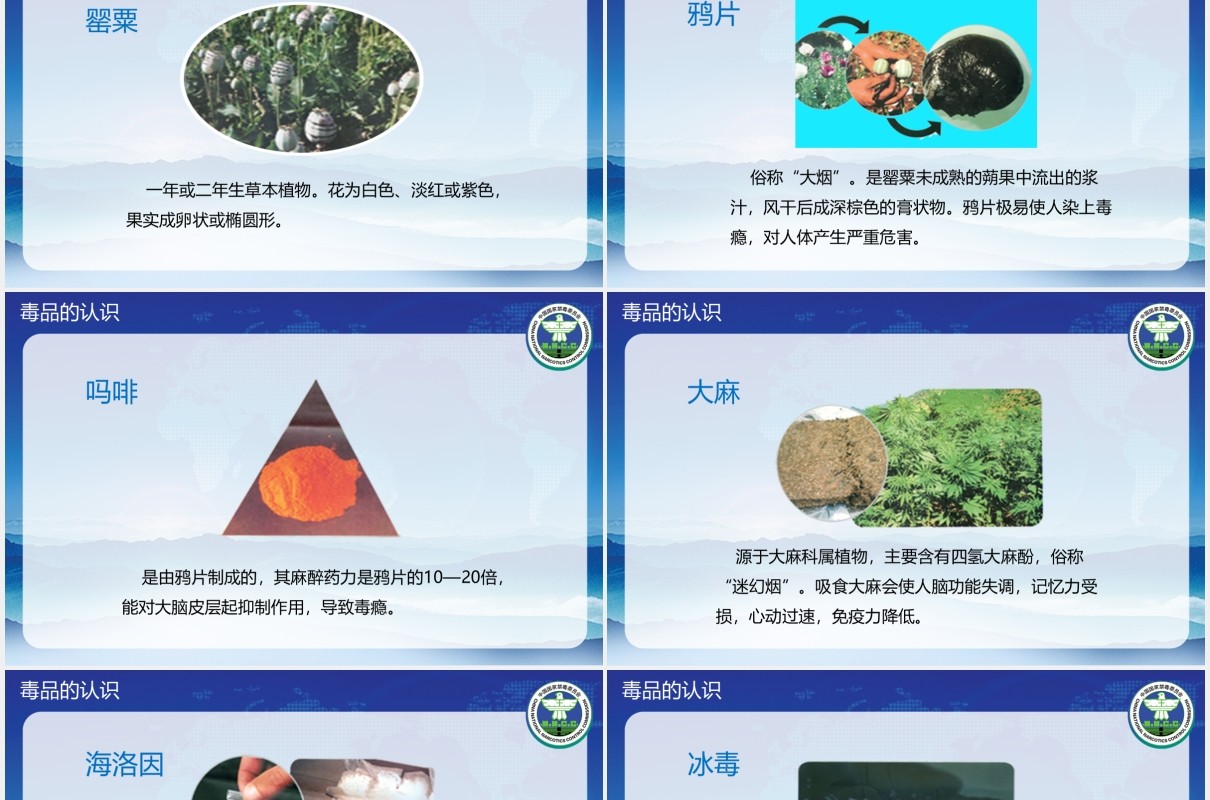 青少年禁毒日知识教育主题课件PPT模板