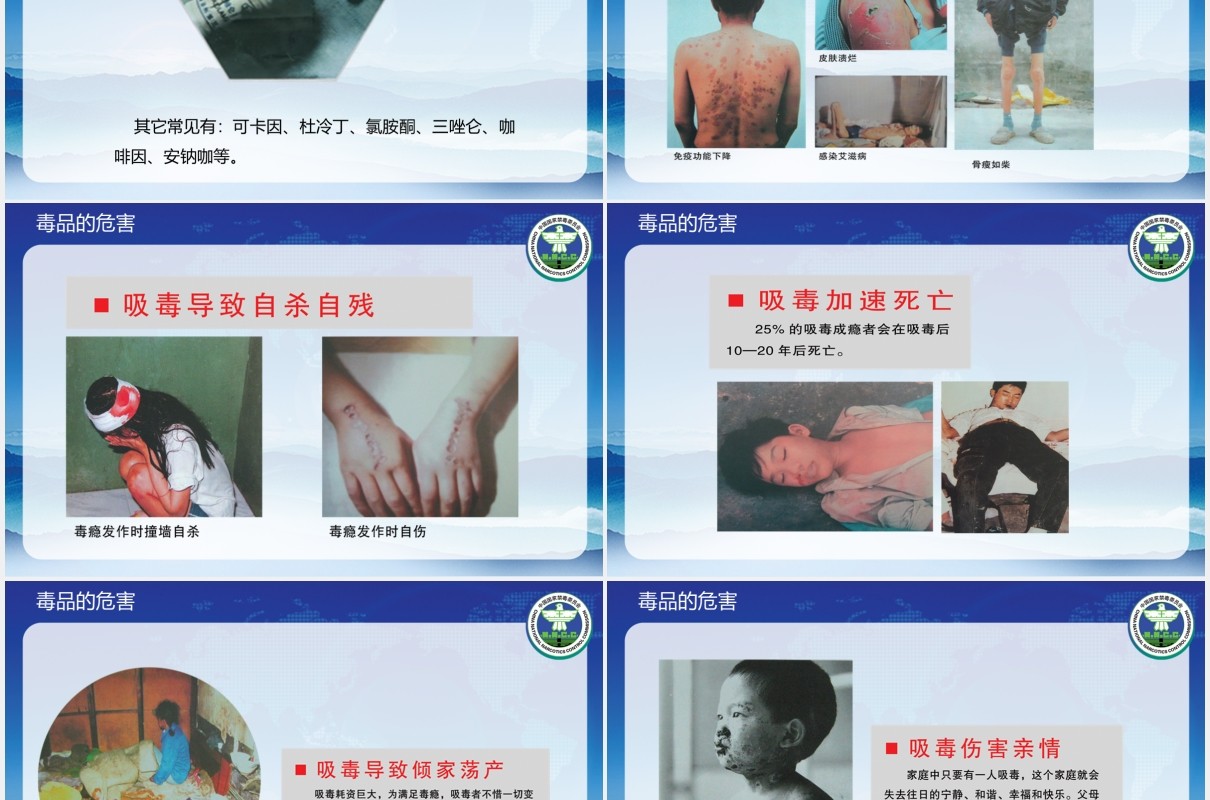 青少年禁毒日知识教育主题课件PPT模板