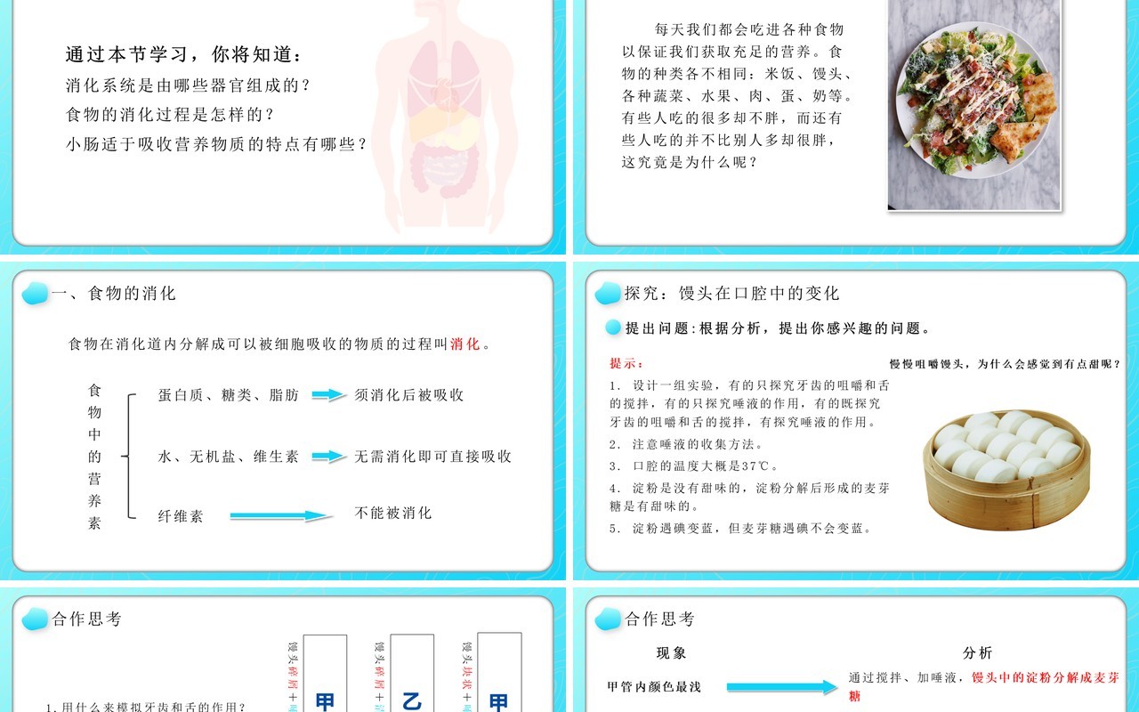 部编版七年级生物下册消化和吸收课件PPT教育课件模板
