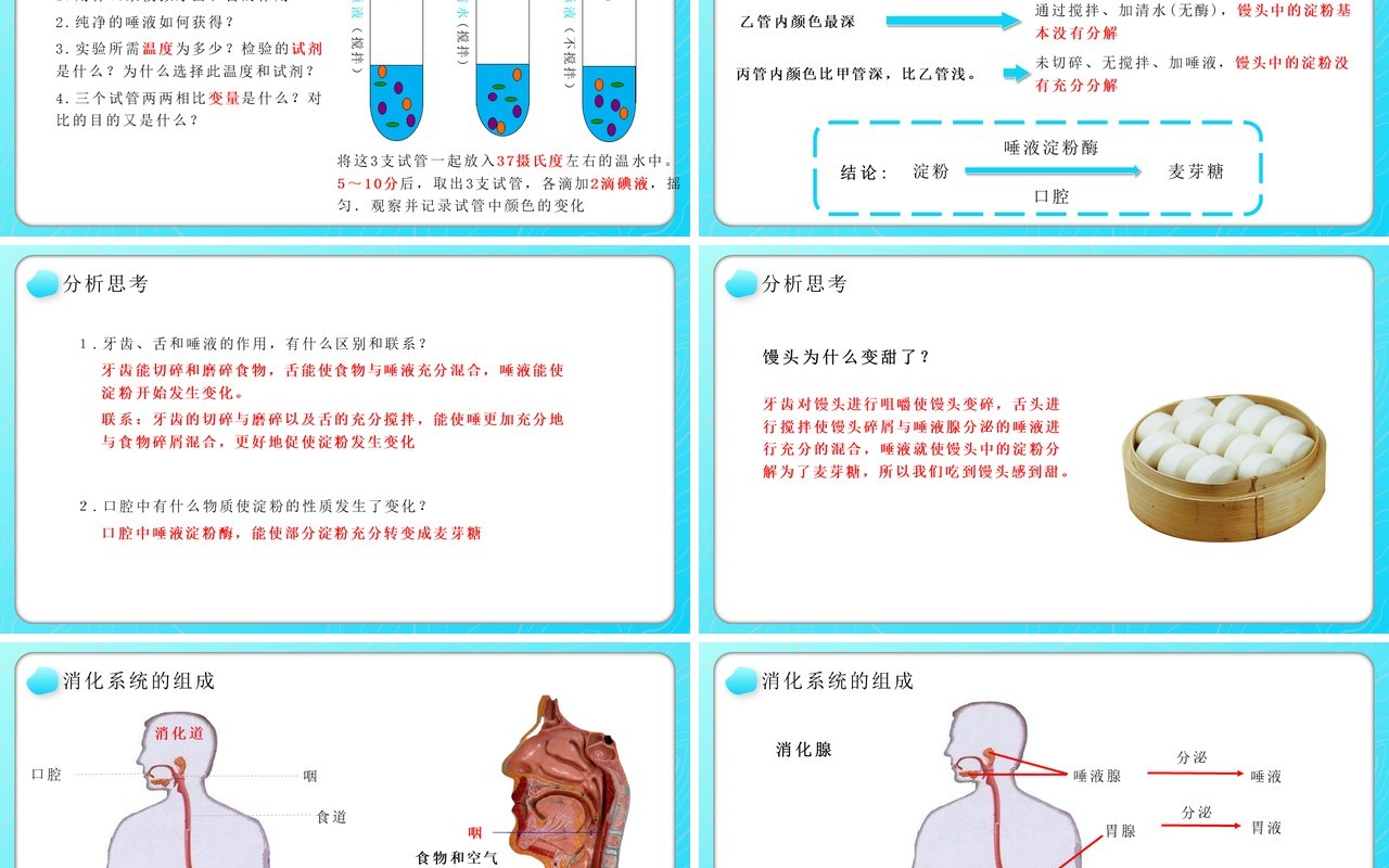 部编版七年级生物下册消化和吸收课件PPT教育课件模板