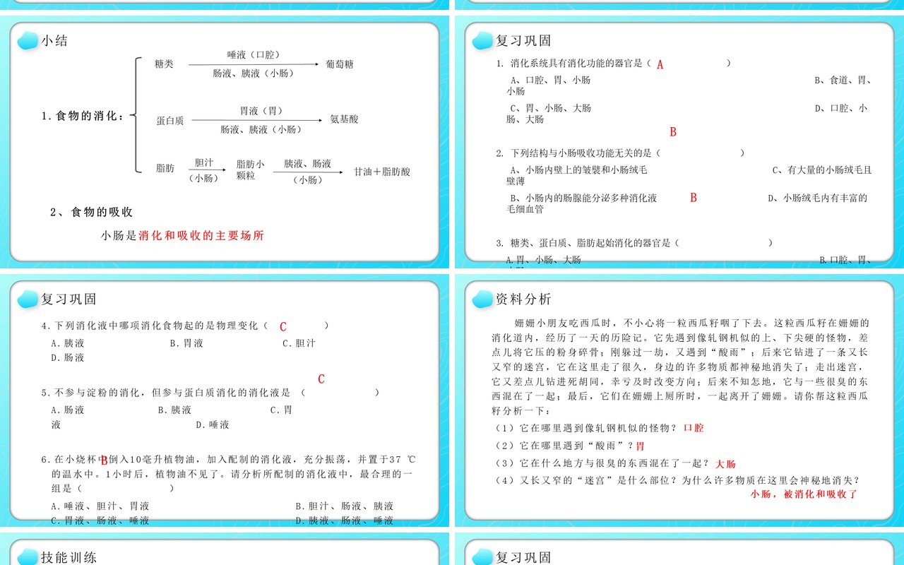 部编版七年级生物下册消化和吸收课件PPT教育课件模板