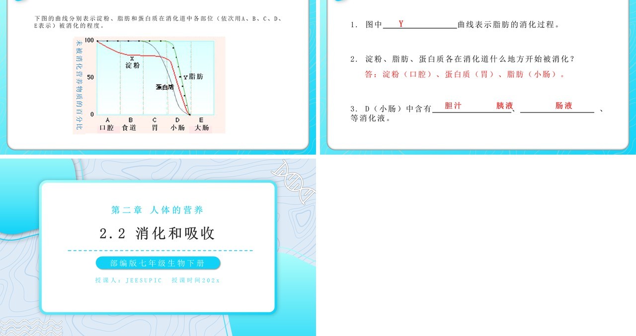 部编版七年级生物下册消化和吸收课件PPT教育课件模板