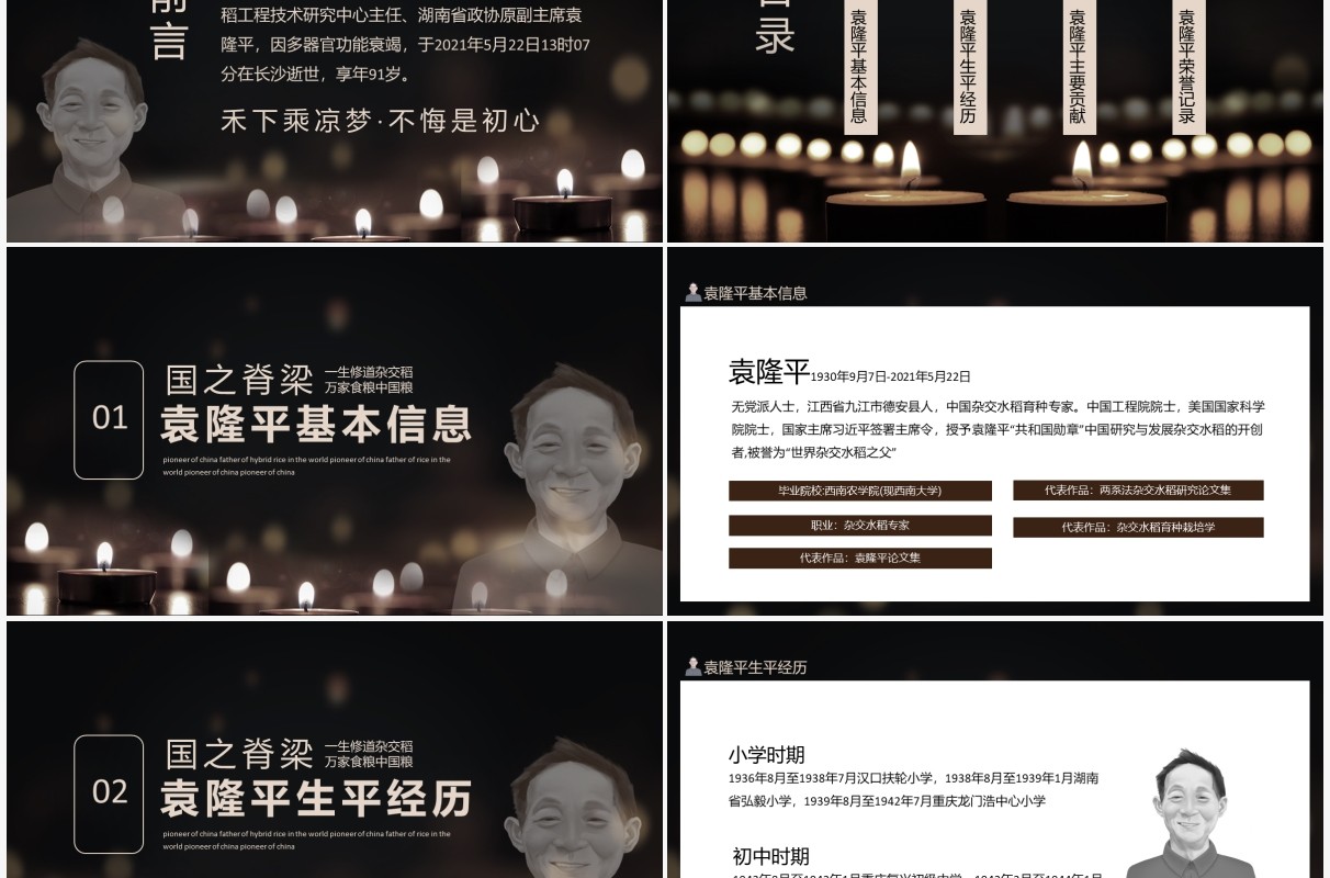 袁隆平禾下乘凉梦不悔是初心中华拓荒人世界杂交水稻之父动态PPT模板
