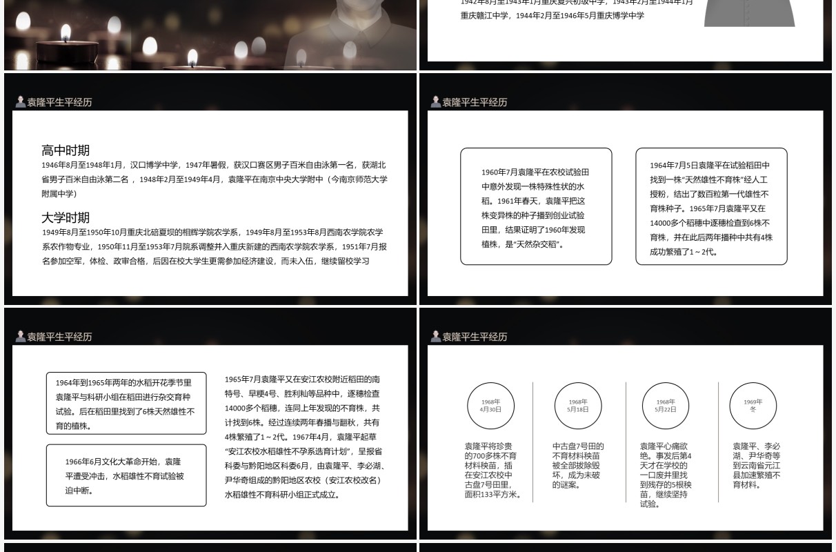 袁隆平禾下乘凉梦不悔是初心中华拓荒人世界杂交水稻之父动态PPT模板