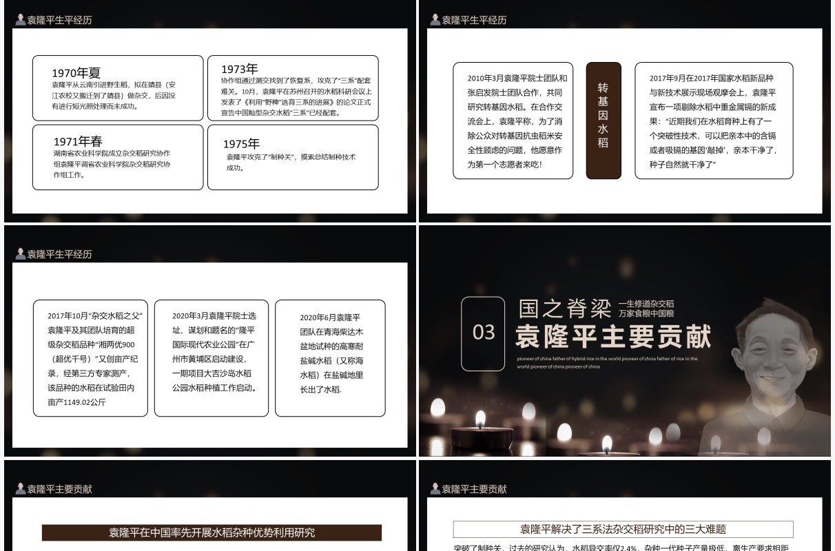袁隆平禾下乘凉梦不悔是初心中华拓荒人世界杂交水稻之父动态PPT模板