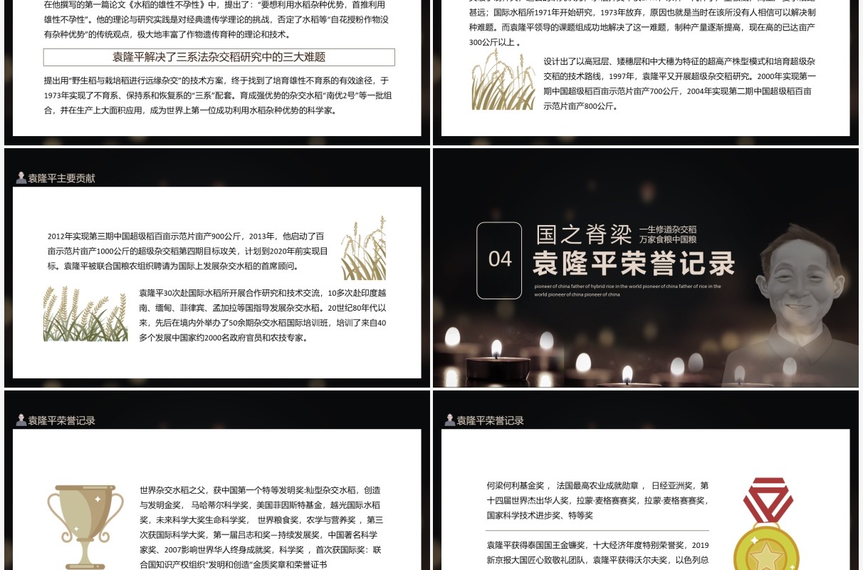 袁隆平禾下乘凉梦不悔是初心中华拓荒人世界杂交水稻之父动态PPT模板