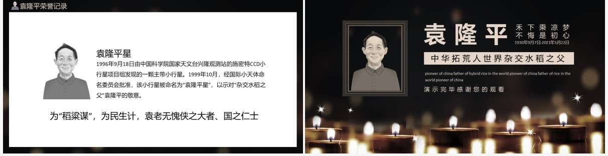 袁隆平禾下乘凉梦不悔是初心中华拓荒人世界杂交水稻之父动态PPT模板