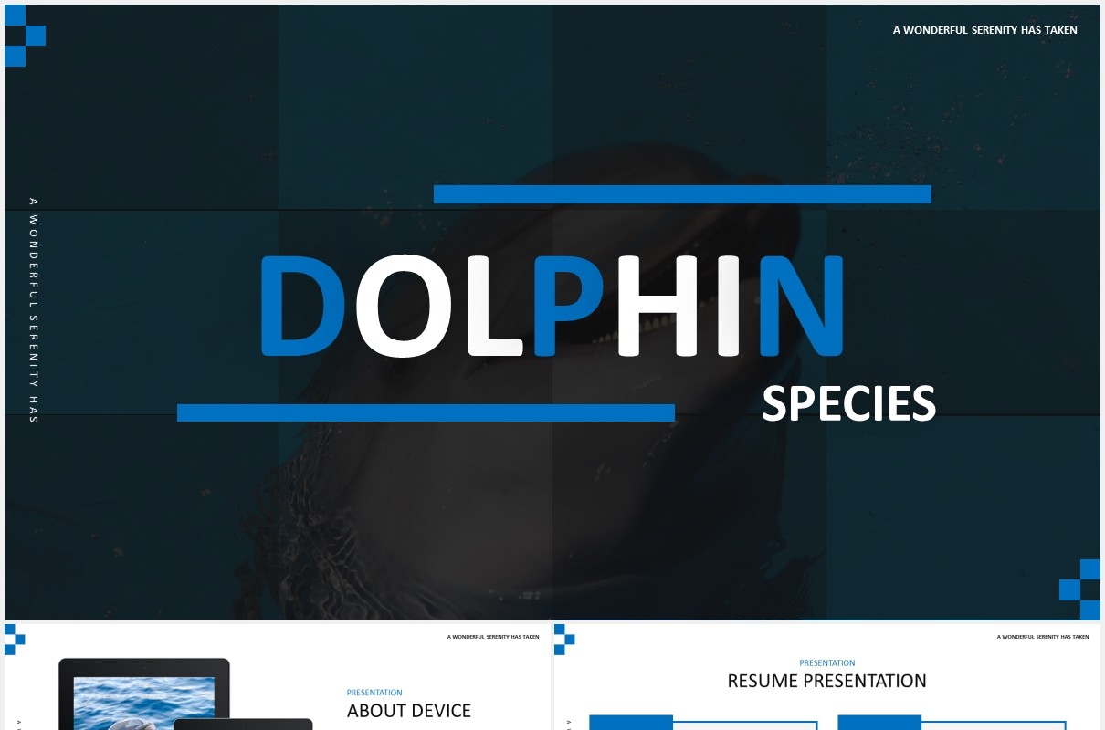 简约蓝色海豚宣传介绍PPT模板Dolphine Species Templates