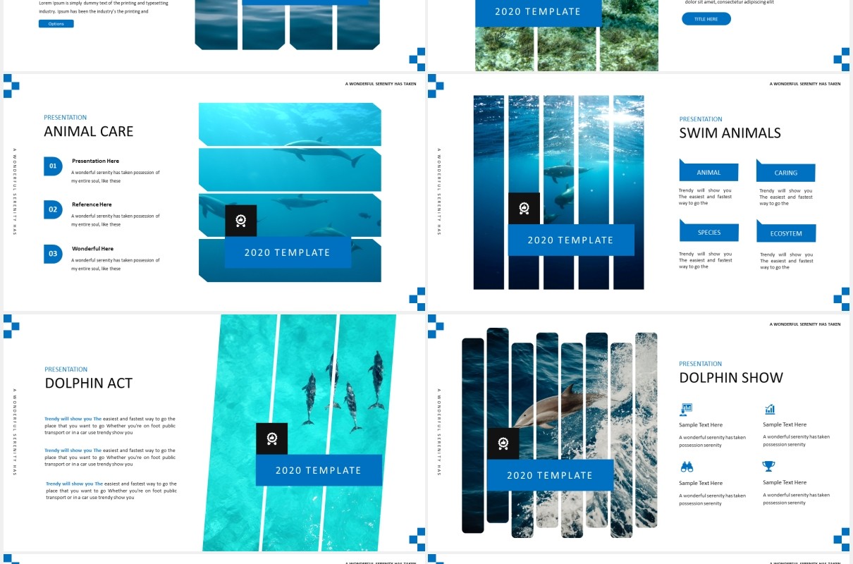 简约蓝色海豚宣传介绍PPT模板Dolphine Species Templates