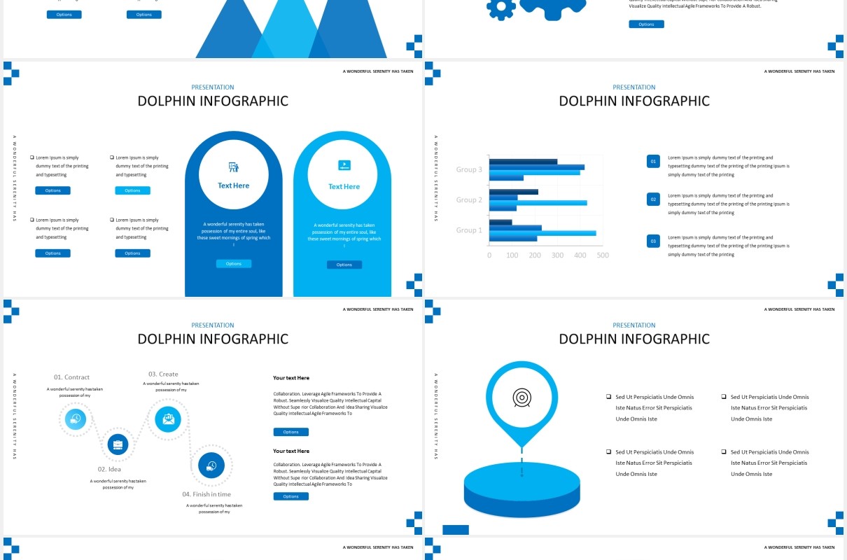 简约蓝色海豚宣传介绍PPT模板Dolphine Species Templates