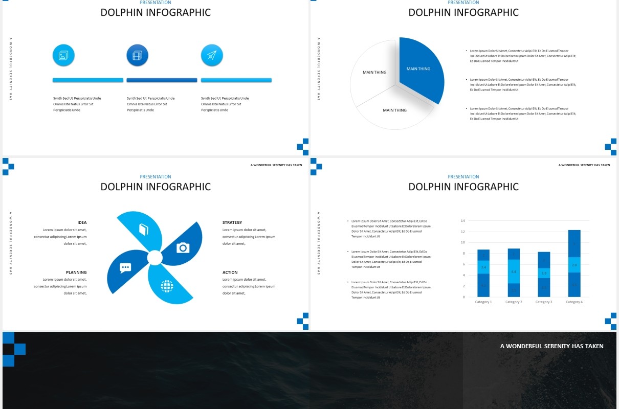 简约蓝色海豚宣传介绍PPT模板Dolphine Species Templates