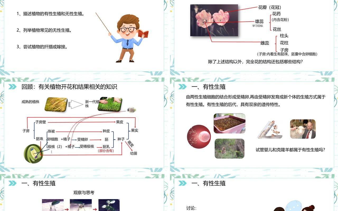 部编版八年级生物下册植物的生殖课件PPT模板