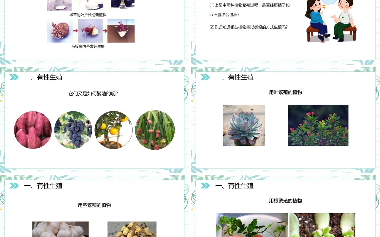 部编版八年级生物下册植物的生殖课件PPT模板