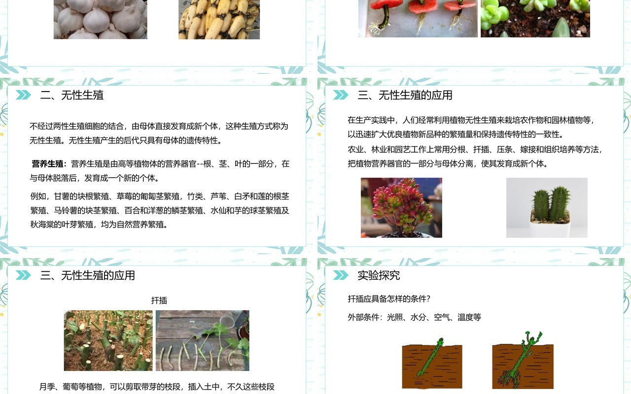 部编版八年级生物下册植物的生殖课件PPT模板