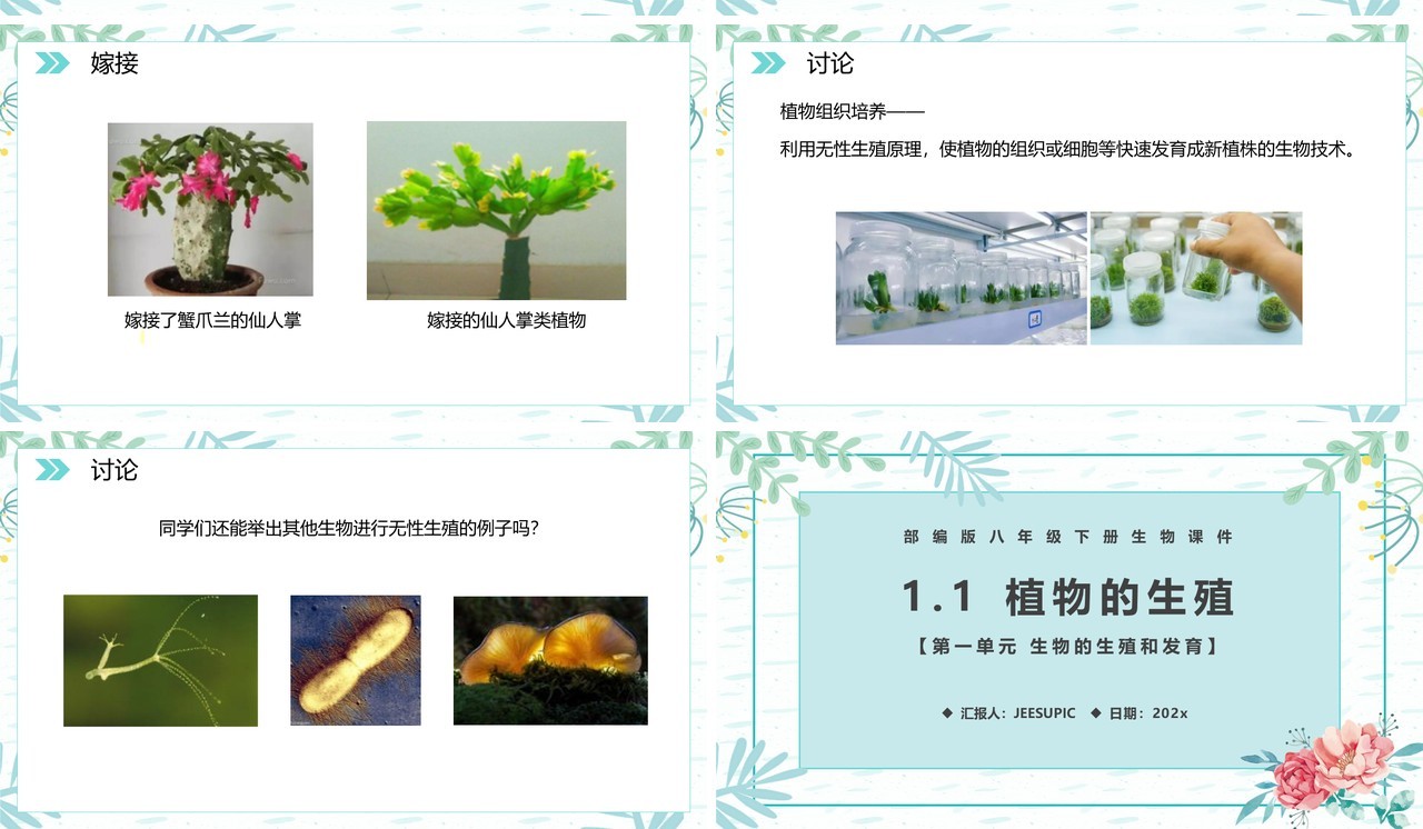 部编版八年级生物下册植物的生殖课件PPT模板