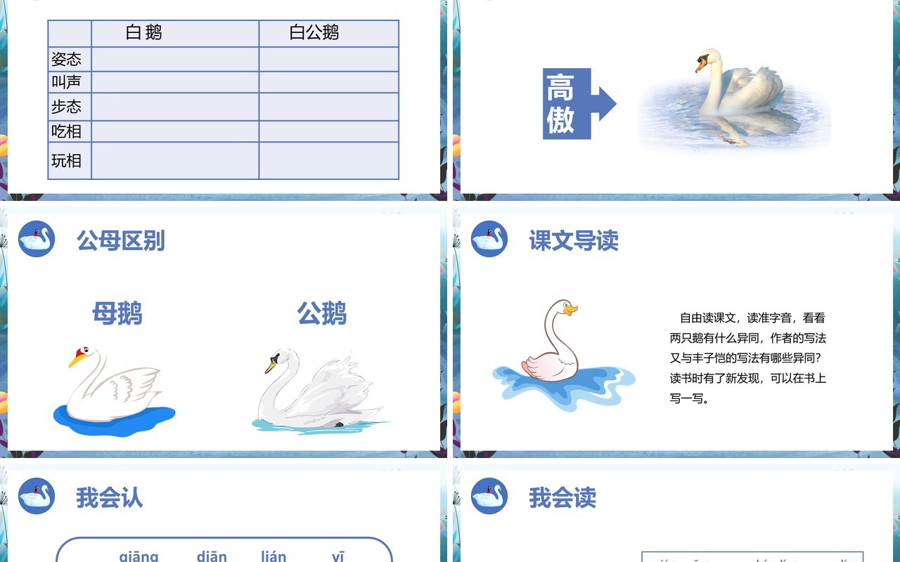 部编版四年级语文上册白公鹅课件PPT模板