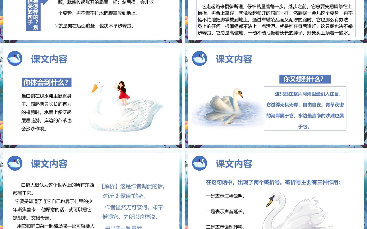 部编版四年级语文上册白公鹅课件PPT模板