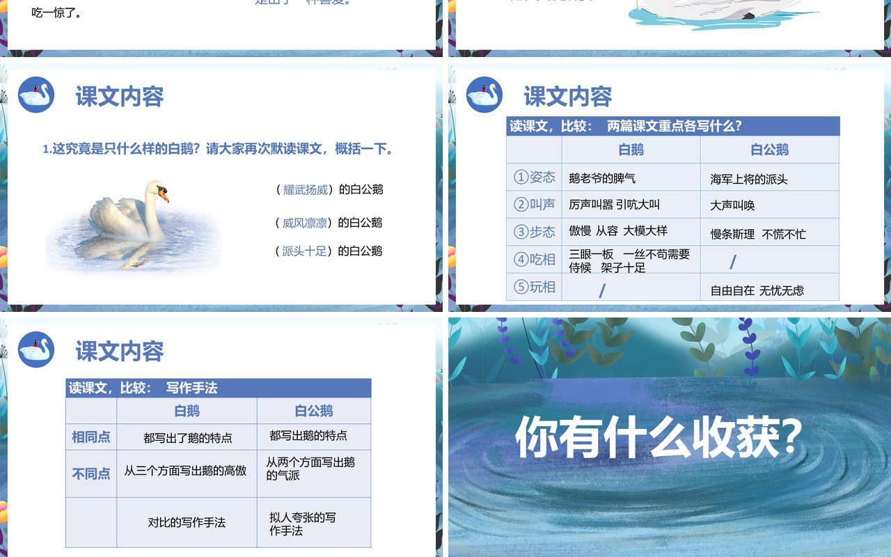 部编版四年级语文上册白公鹅课件PPT模板