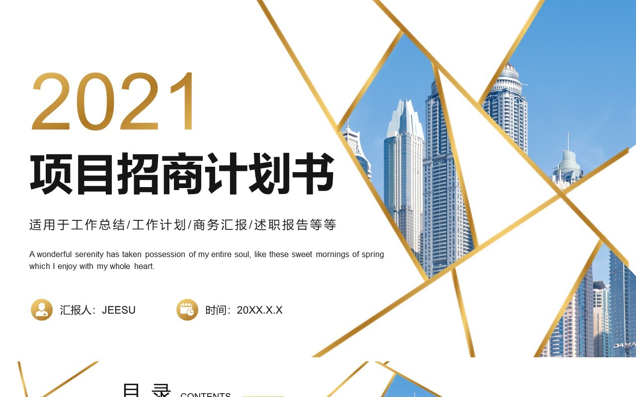简约大气项目招商计划书工作总结报告PPT模板