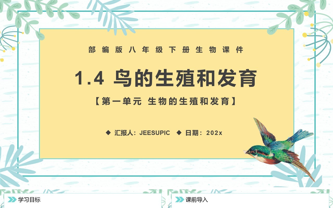 部编版八年级生物下册鸟的生殖和发育课件PPT模板