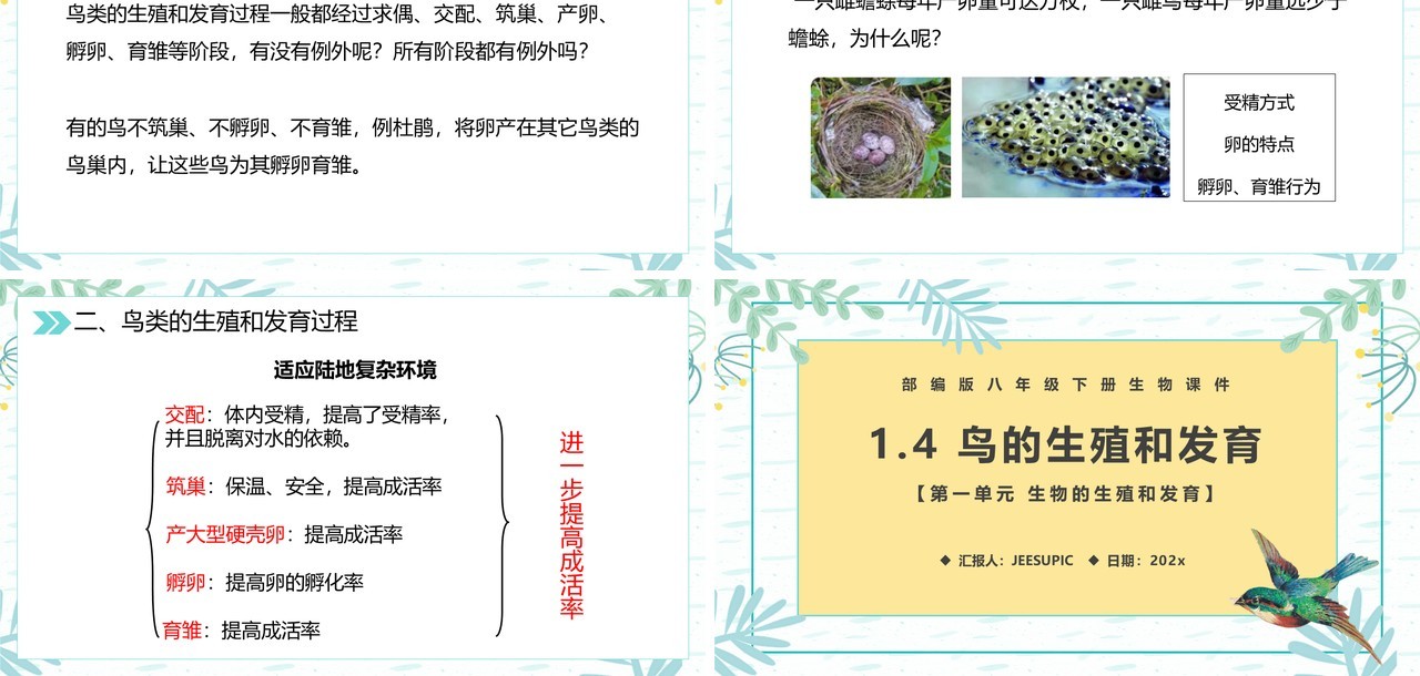 部编版八年级生物下册鸟的生殖和发育课件PPT模板