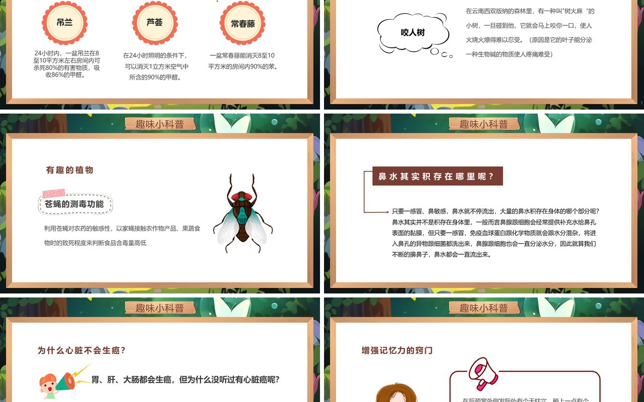 绿色插画风趣味科普小讲堂PPT模板