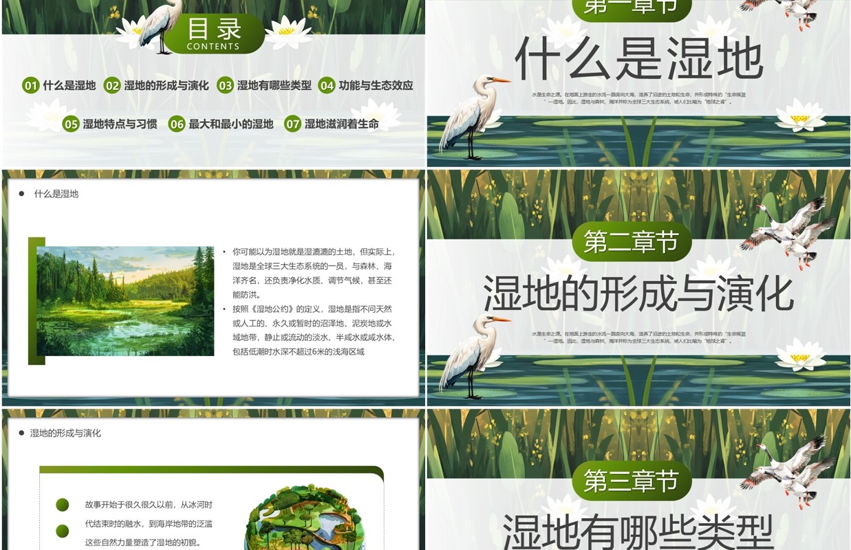 绿色插画风世界湿地日介绍PPT模板