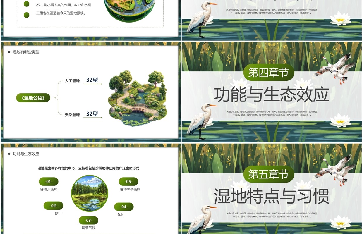 绿色插画风世界湿地日介绍PPT模板