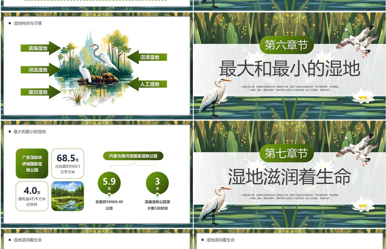 绿色插画风世界湿地日介绍PPT模板