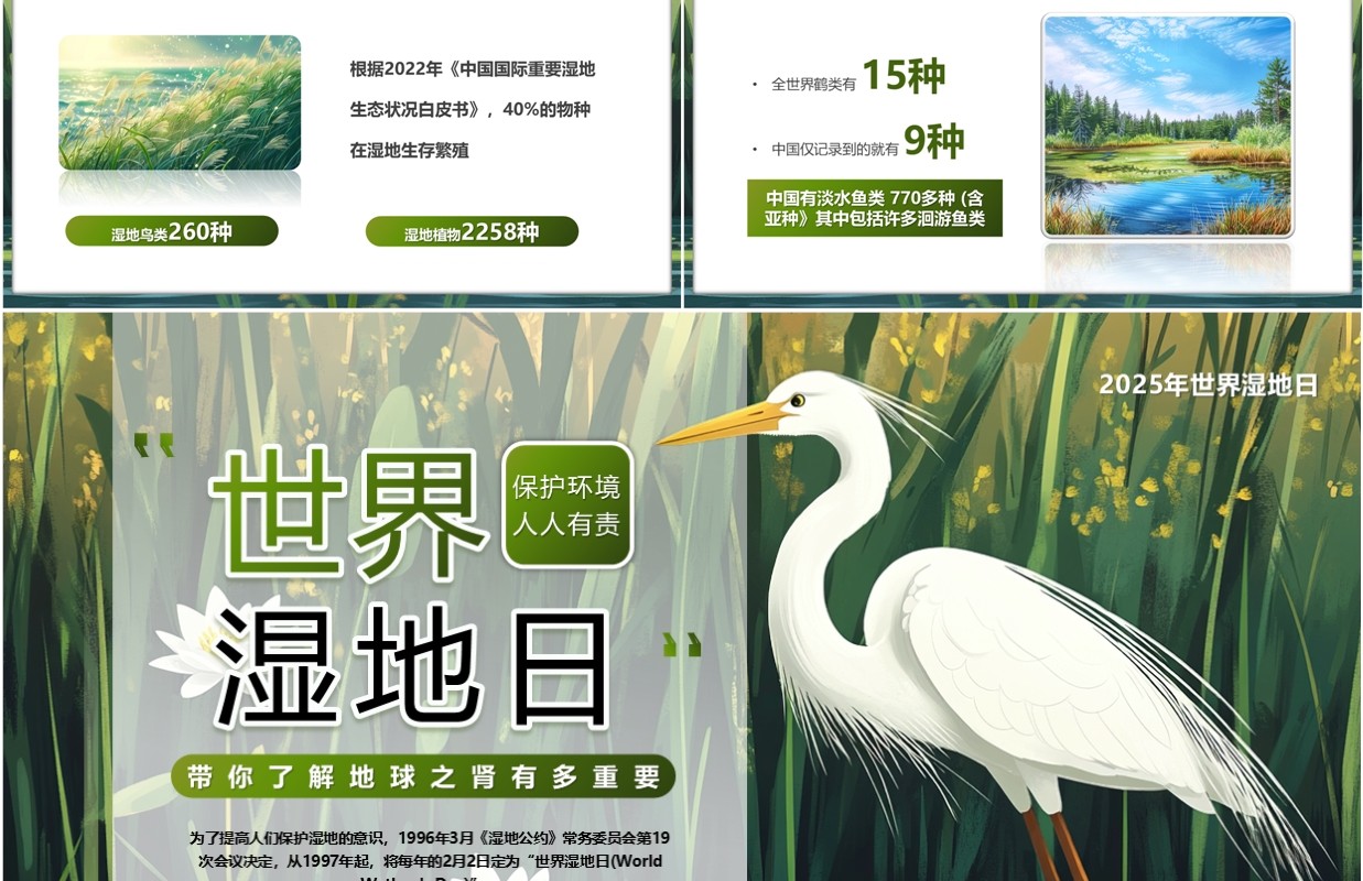 绿色插画风世界湿地日介绍PPT模板