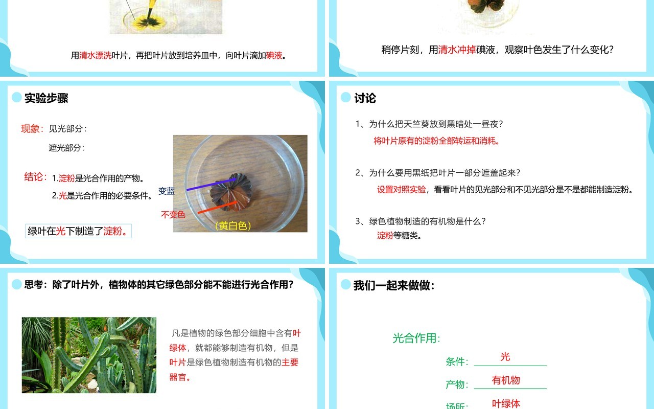 人教版七年级生物上册绿色植物是生物圈中有机物的制造者课件PPT模板