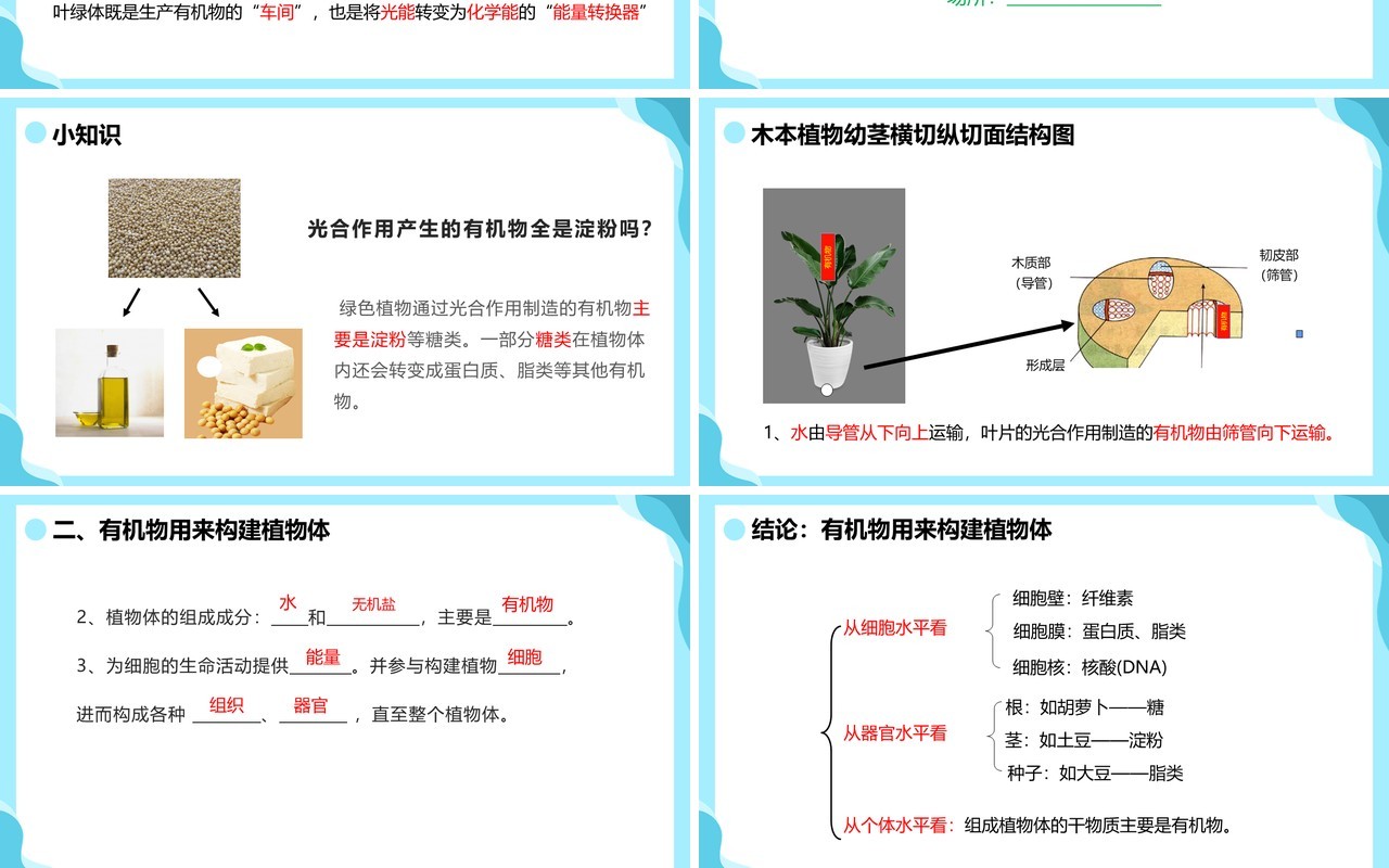 人教版七年级生物上册绿色植物是生物圈中有机物的制造者课件PPT模板