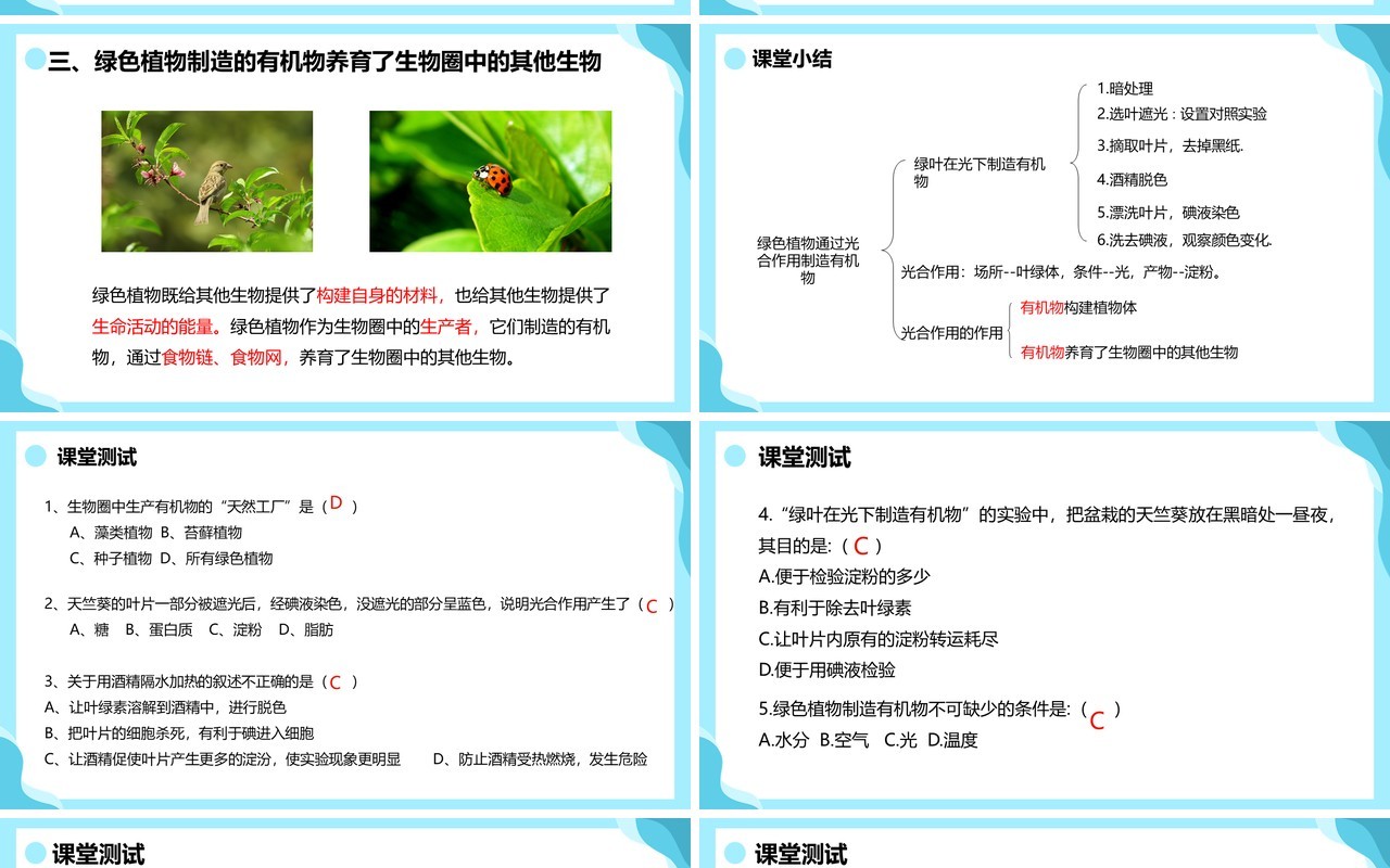 人教版七年级生物上册绿色植物是生物圈中有机物的制造者课件PPT模板