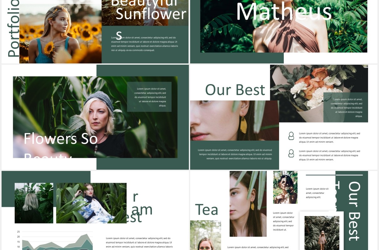 摄影作品展示PPT模板Matheus - Powerpoint Template