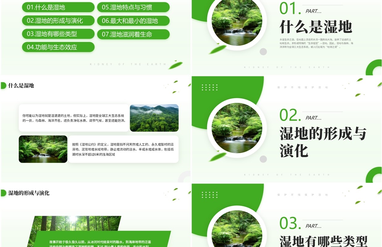 绿色简约风世界湿地日介绍PPT模板