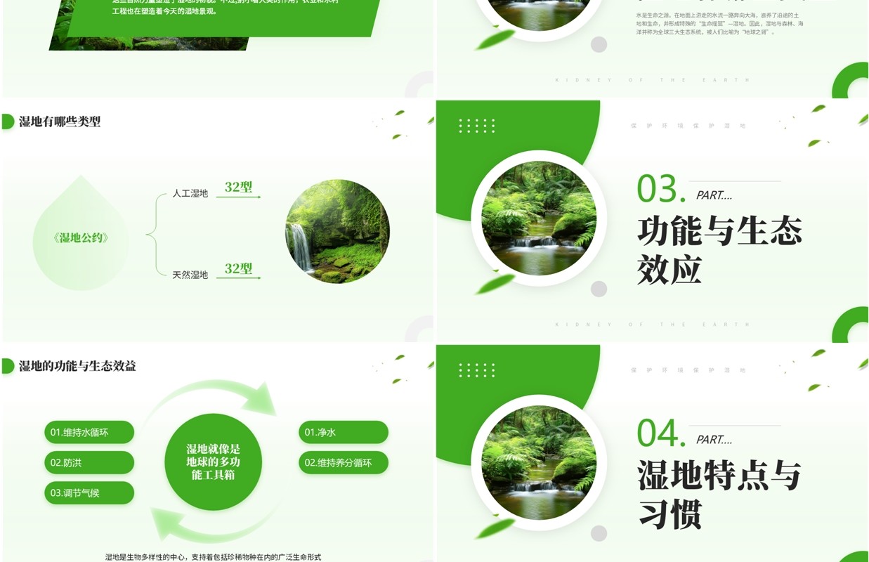 绿色简约风世界湿地日介绍PPT模板