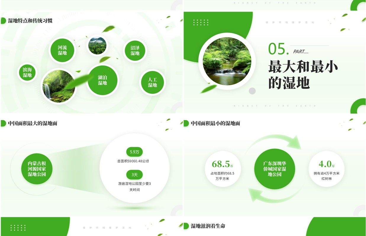绿色简约风世界湿地日介绍PPT模板