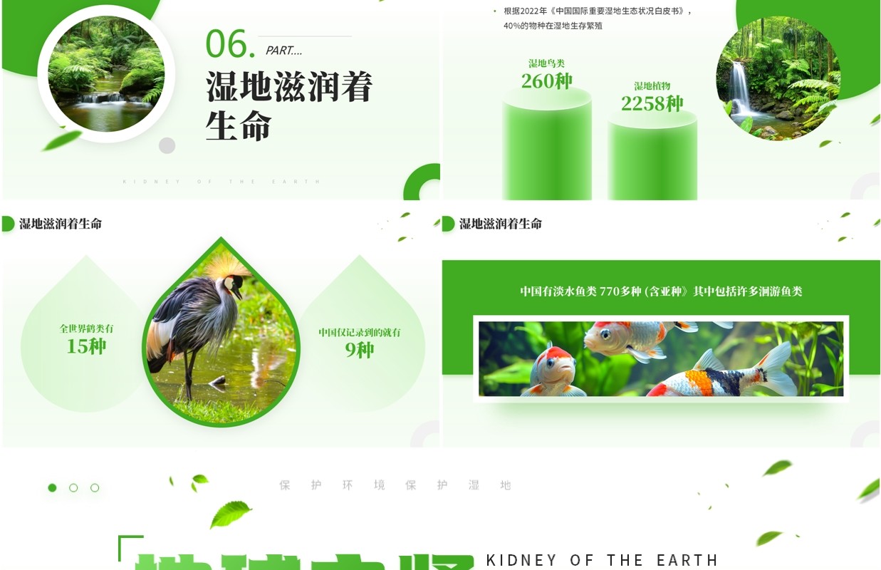 绿色简约风世界湿地日介绍PPT模板