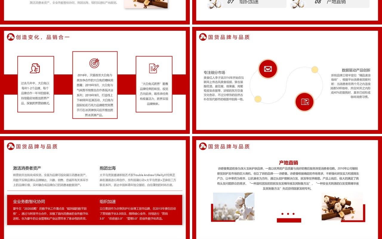 红色简约风新疆长绒棉商品介绍动态PPT模板